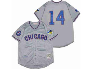 Chicago Cubs 14 Ernie Banks Baseball Jersey Gray Retro