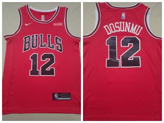 Nike Chicago Bulls 12 Ayo Dosunmu Basketball Jersey Red