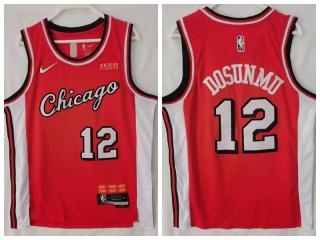 Nike Chicago Bulls 12 Ayo Dosunmu Basketball Jersey Red